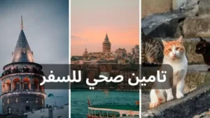 سعر التامين الطبي لفيزا الشنغن